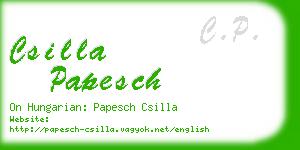 csilla papesch business card